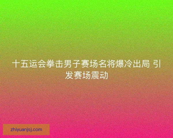 十五运会拳击男子赛场名将爆冷出局 引发赛场震动 十五运会拳击男子赛场名将爆冷出局 引发赛场震动
