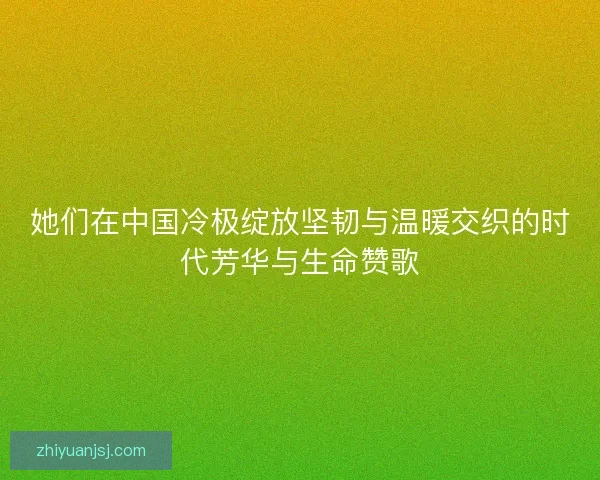 她们在中国冷极绽放坚韧与温暖交织的时代芳华与生命赞歌 她们在中国冷极绽放坚韧与温暖交织的时代芳华与生命赞歌