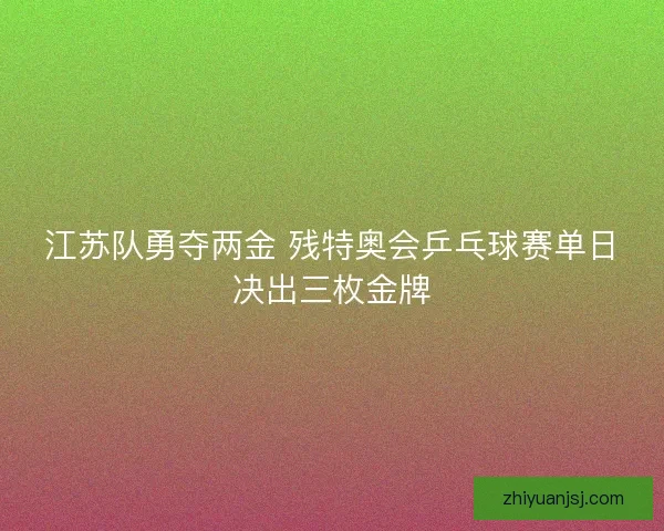 江苏队勇夺两金 残特奥会乒乓球赛单日决出三枚金牌